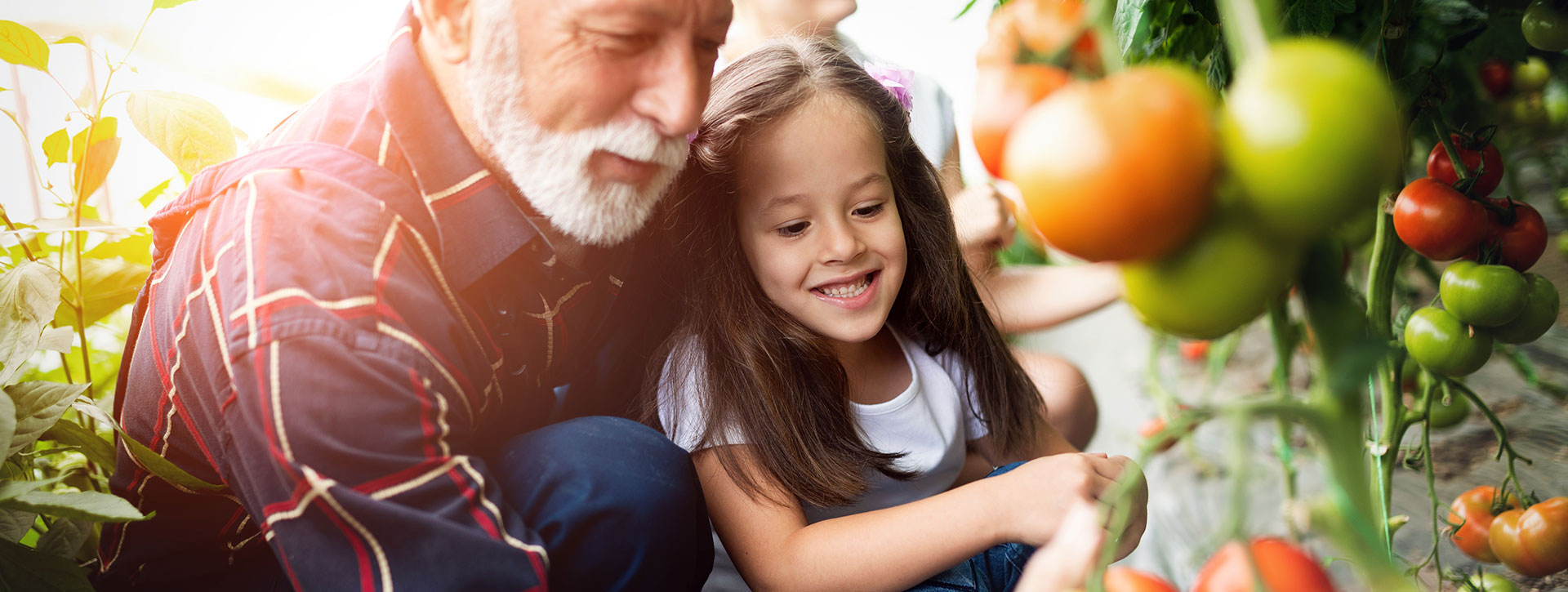 Grandfather leaves a legacy